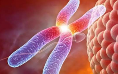 40歲高齡女性做試管成功率