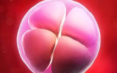 廣安試管助孕中心試管嬰兒費用