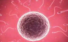 運(yùn)城中心醫(yī)院試管成功率高么