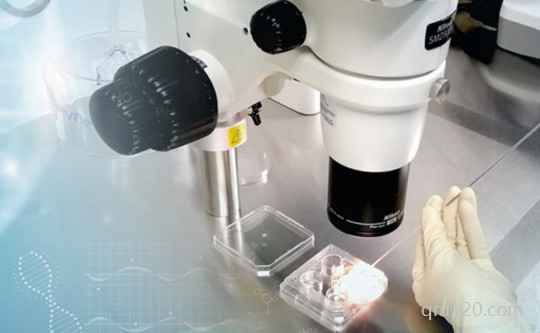 試管嬰兒移植前