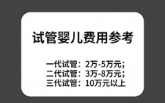 試管助孕生子多少錢