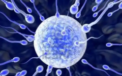 南京鼓樓試管需要多少錢