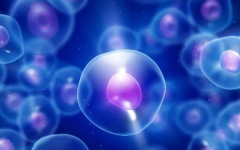 心臟病可以做試管嬰兒嗎