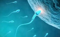 不能生育能做試管嬰兒?jiǎn)?>
            <div   id=