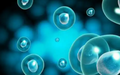 江門(mén)市婦幼保健院做試管收費(fèi)價(jià)目表一覽