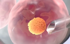 欽州市婦幼保健院做試管多少錢