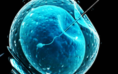 49歲還能做試管嬰兒嗎