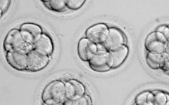 青島婦女小兒醫(yī)院做試管價(jià)格明細(xì)