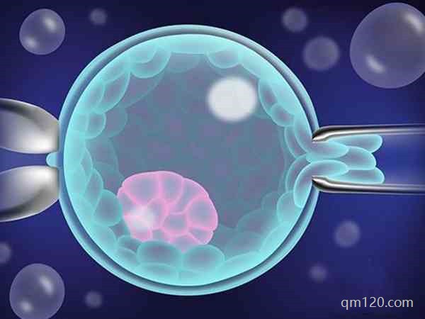 試管建檔后到移植需要多久