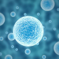 試管嬰兒多少錢