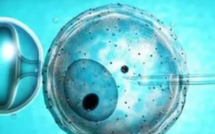 上海仁心醫(yī)院試管費(fèi)用多少