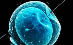 44歲做試管成功率有多高