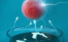 42歲以上適合做幾代試管嬰兒