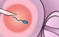 河南科技大學(xué)第一附屬醫(yī)院試管多少錢