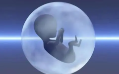 助孕公司是合法的嗎