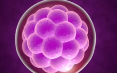 美國(guó)試管助孕費(fèi)用多少