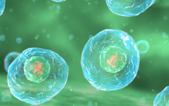 秦皇島婦幼試管嬰兒成功率