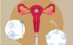 第三代試管女性受罪嗎