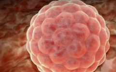 鄭州市婦幼保健院試管嬰兒費(fèi)用解讀