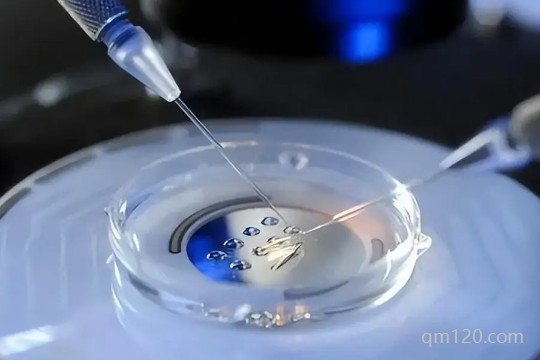 自卵自懷是什么意思