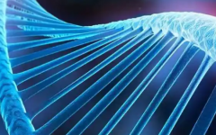 宜昌市第一試管助孕中心做試管成功幾率有多大