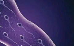 碎片率多少才可以做試管