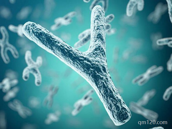 試管醫(yī)生憑經(jīng)驗(yàn)選y精子