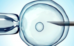 北京大學試管助孕中心試管嬰兒需要多少錢