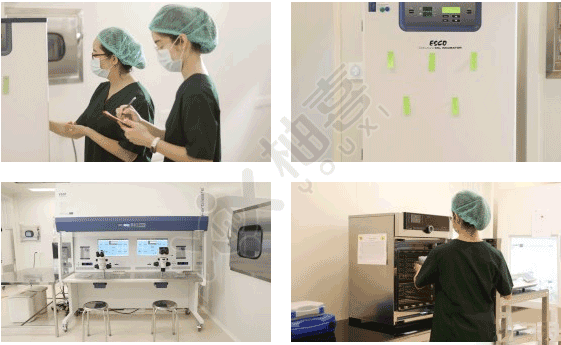 RFG曼谷醫(yī)院環(huán)境