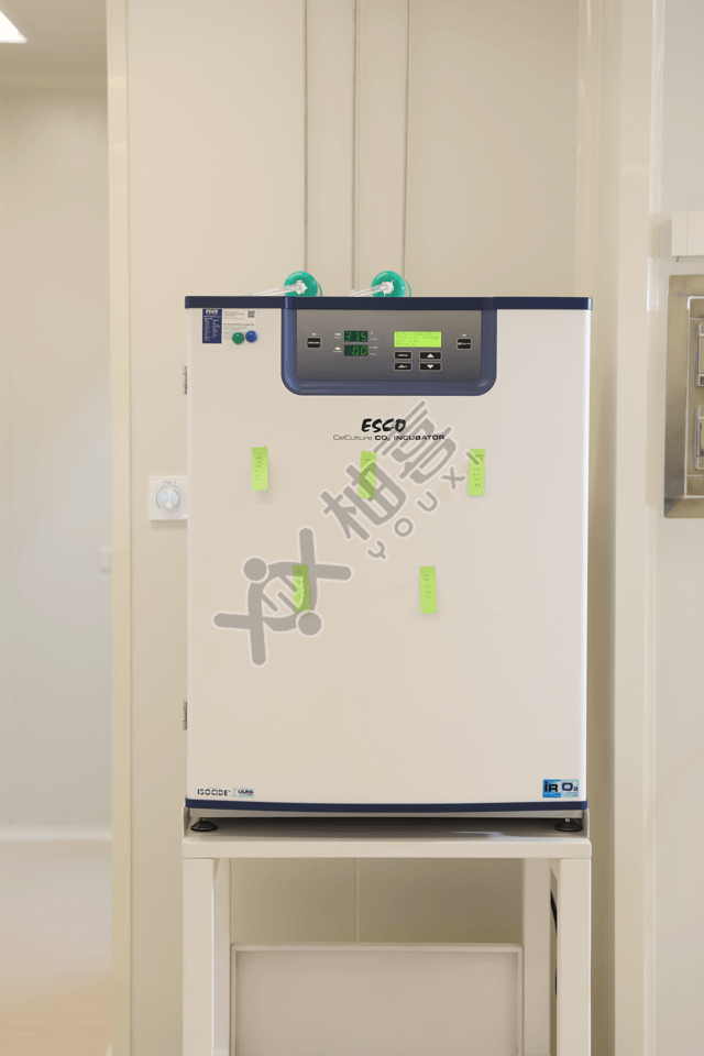 胚胎培養(yǎng)箱