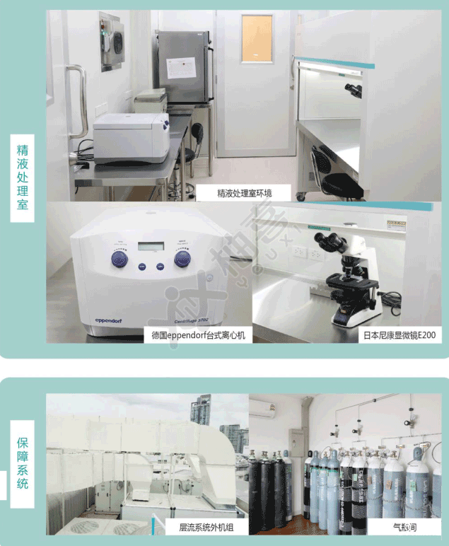 曼谷RFG精液處理室