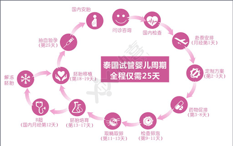 泰國iBaby試管嬰兒流程