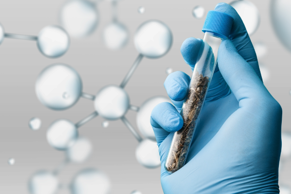 三代試管技術(shù)