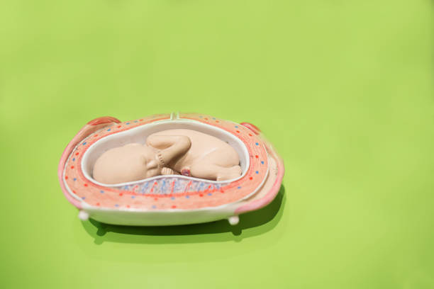 中山第三代試管嬰兒生孩子助孕費(fèi)用分析，哪家醫(yī)院更劃算？