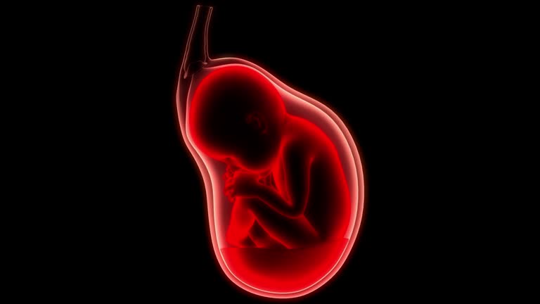 杭州單身未婚女性可以做試管嬰兒嗎？