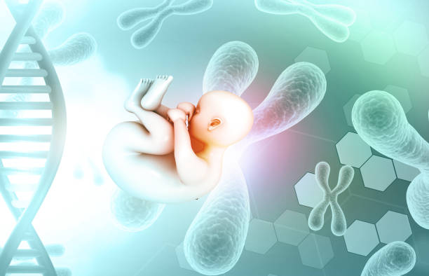 去泰國(guó)LRC生殖醫(yī)院做試管嬰兒要多少錢(qián)？成功率怎么樣？