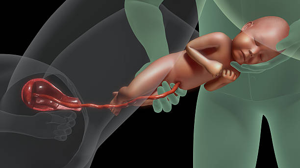 正規(guī)廣州試管嬰兒多少錢？廣州試管嬰兒機(jī)構(gòu)費(fèi)用