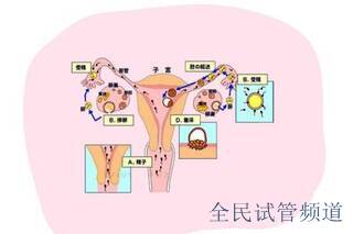 〖去泰國做試管大概費用多少，具體價格與流程詳解〗