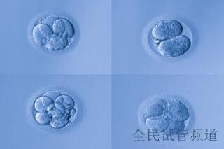 2026湖北試管醫(yī)院紅黑榜,弱精治療與試管結合指南