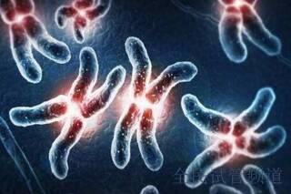 哈薩克斯坦三代試管選擇指南，少精弱精家庭如何選機(jī)構(gòu)