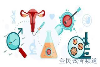 2026惠州試管中心哪家好,費(fèi)用技術(shù)全面解析