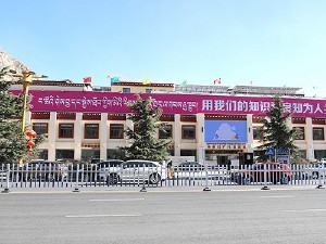 西藏阜康醫(yī)院婦產(chǎn)兒童分院