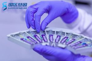 南陽正規(guī)親子鑒定機(jī)構(gòu)全整理（附2025中心機(jī)構(gòu)名單）