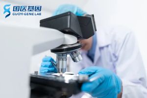 南召專業(yè)親子鑒定中心機構(gòu)（附2024年收費標(biāo)準(zhǔn)）