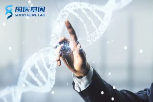 上海地區(qū)DNA29家親子鑒定機構(gòu)地址查詢(2024鑒定辦理攻略)