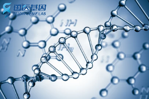 正規(guī)！南昌22所親子鑒定機(jī)構(gòu)地址排行榜（2024年匯總鑒定 ）