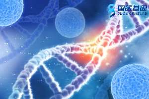 揭秘！北京30家可以做司法親子鑒定的機(jī)構(gòu)（附2025年機(jī)構(gòu)匯總）