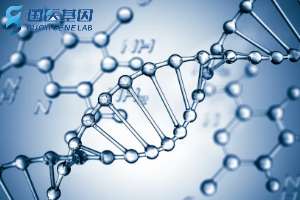 芙蓉區(qū)正規(guī)親子鑒定機構排行榜（附2025鑒定機構地址）
