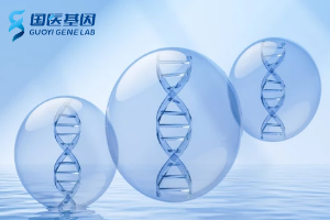 佛山正規(guī)無創(chuàng)親子鑒定名單(附2025最新機構(gòu)地址)