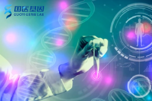 南昌個(gè)人隱私親子鑒定收費(fèi)費(fèi)用明細(xì)一覽（附2025價(jià)費(fèi)用表）